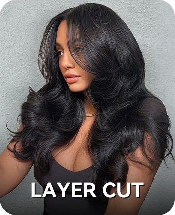 Layer-Cut Layer-Cut